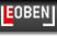 Leoben Netzwerk